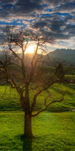 Campo,Naturaleza,Puesta Del Sol,Arroyo,Cala,Paisaje