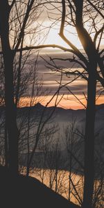 Nature,Sunset,Fog,Branches,Trees,Mountains