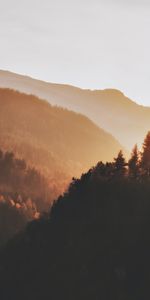 Nature,Forêt,Les Collines,Collines,Arbres,Coucher De Soleil