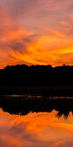 Naturaleza,Ríos,Hierba,Arbusto,Puesta Del Sol,Reflexión,Silueta