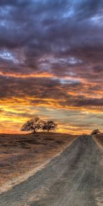 Nature,Sunset,Grass,Field,Hdr