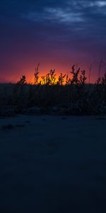 Nature,Sunset,Grass,Horizon,Dusk,Twilight,Dark