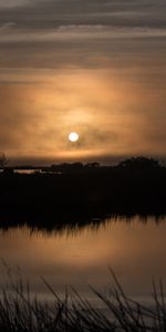 Nature,Sunset,Grass,Sun,Horizon