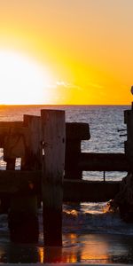 Puesta Del Sol,Horizonte,Gaviota,Navegar,Surfear,Mar,Naturaleza