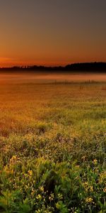 Nature,Sunset,Landscape