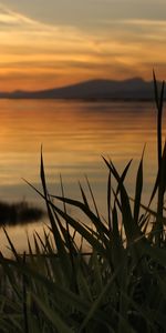 Naturaleza,Paisaje,Puesta Del Sol