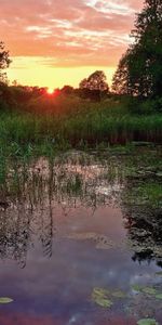 Naturaleza,Paisaje,Puesta Del Sol