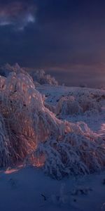 Naturaleza,Puesta Del Sol,Nieve,Paisaje