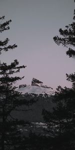 Nature,Sunset,Mountain,Vertex,Top,Branches,Snowbound,Snow Covered