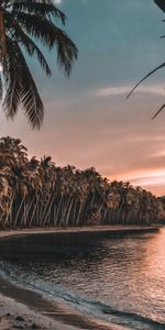 Puesta Del Sol,Naturaleza,Mar,Palms,Zona Tropical,Trópico,Playa