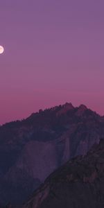 Nature,Sunset,Rocks,Branches,Trees