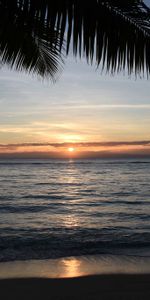 Nature,Horizon,Côte,Palms,Coucher De Soleil,Mer