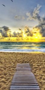 Nature,Sunset,Shore,Bank,Evening,Track,Birds,Sand,Beach