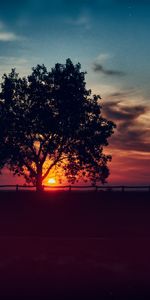 Nuages,Bois,Arbre,Sky,Nature,Horizon,Coucher De Soleil