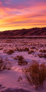 Nature,Sunset,Sky,Mountains,Bush