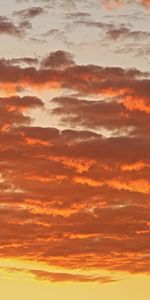 Naturaleza,Puesta Del Sol,Cielo,Rosa,Nubes,Rosado