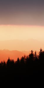 Nature,Sunset,Sky,Slope,Trees,Fog,Silhouettes