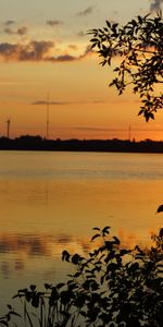 Nature,Branches,Sky,Sun,Lac,Coucher De Soleil