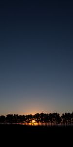 Nature,Sunset,Sky,Sun,Spruce,Fir,Trees