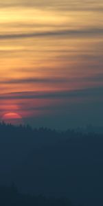 Épicéa,Sapin,Nature,Arbres,Sun,Sky,Coucher De Soleil