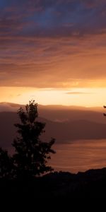 Nature,Sunset,Sky,Wood,Tree,Spruce,Fir,Hills