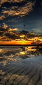 Nature,Sunset,Stranded,Shallow,Shrubs,Beach