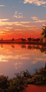 Nature,Sunset,Sun,Horizon,Lake,Evening,Palms