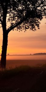 Réflexion,Route,Grandes Lignes,Soir,Nature,Sun,Contours,Obscurité,Coucher De Soleil,Arbres,Crépuscule