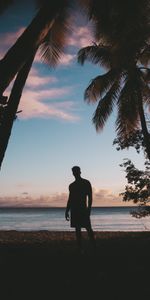 Nature,Crépuscule,Mer,Palms,Silhouette,Coucher De Soleil,Tropiques