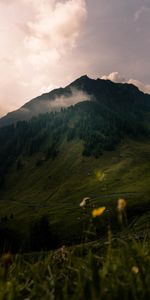 Naturaleza,Arriba,Bosque,Valle,Vértice