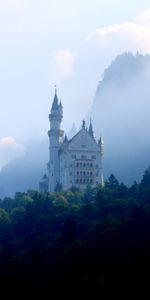 Palacio,Naturaleza,Bosque,Niebla,Torre,Cerradura,Cerrar Con Llave