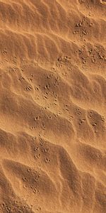 Nature,Traces,Desert,Sand,Beach