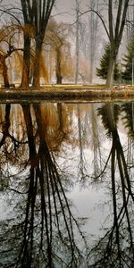 Árboles,Paisaje,Naturaleza,Otoño