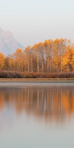 Nature,Trees,Autumn,Mountain,Lake,Shore,Bank