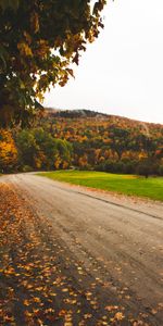 Otoño,Naturaleza,Hojas,Camino,Bosque,Árboles