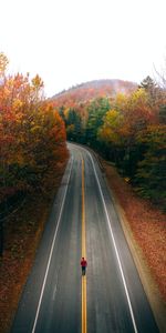 Nature,Trees,Autumn,Road,Markup,Jog,Jogging