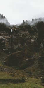 Nature,Trees,Break,Precipice,Brooks,Streams,Fog