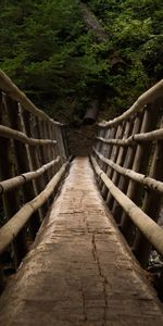 Nature,Trees,Bridge,Descent