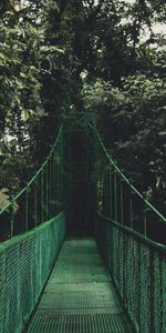 Nature,Trees,Bridge,Foliage