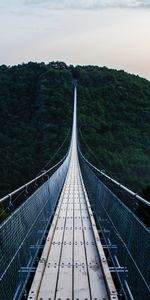 Nature,Trees,Bridge,Suspension,Hanging