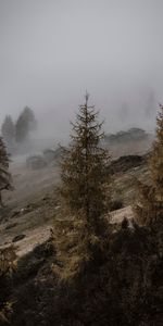 Naturaleza,Árboles,Edificio,Niebla,Cuesta,Pendiente,Paisaje