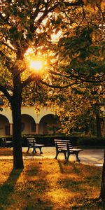 Nature,Trees,Building,Sunlight,Benches,Park