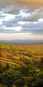 Nature,Trees,Bush,Hills,Dahl,Valley,Distance