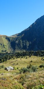 Nature,Trees,Bush,Mountain,Valley,Landscape