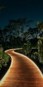 Nature,Trees,Bush,Path,Backlight,Illumination,Garden,Night