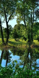 Buissons,Nature,Arbres,Rivières,Paysage