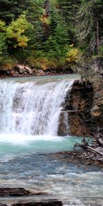 Nature,Trees,Bush,Rocks,Waterfall,Flow,Stream