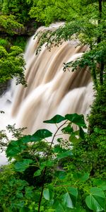 Naturaleza,Árboles,Verduras,Arbusto,Bosque,Cascada