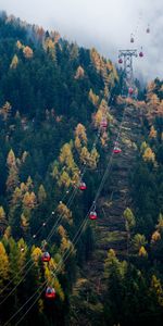 Téléphérique,Stands,Étable,Nature,Forêt,Arbres