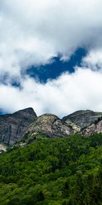 Nature,Trees,Clouds,Bush,Mountain